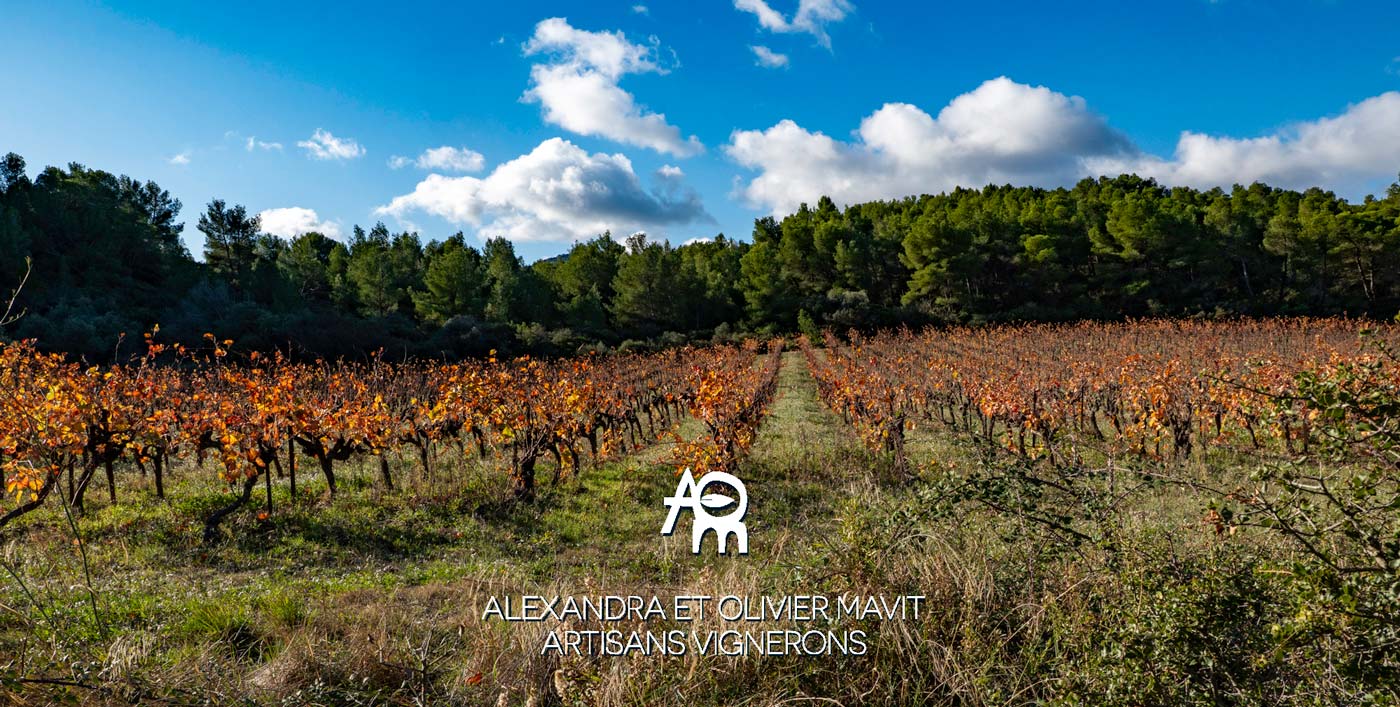 vignoble mavit bio corbieres